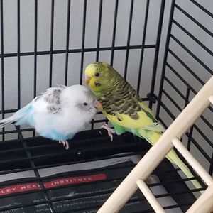 Meet your Posher, Marie